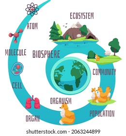 Biodiversity and classification of different species population on Planet Earth. Biological hierarchy of life vector infographics poster. Animals and ecosystem of our world.