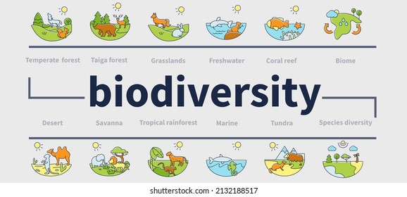 Biodiversity ecosystem vector infographics. Consists of desert, grassland, tundra, freshwater, rainforest, coral reef zones for layout, info chart, banner. Ecosystem presentation - Shutterstock ID 2132188517
