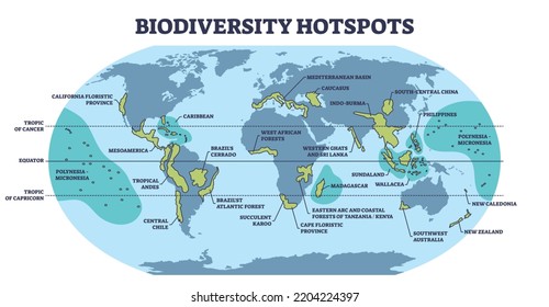 Biodiversity hotspots with life species variety on world map outline diagram. Labeled educational animal habitats scheme with ecosystem most dense places on geographical atlas vector illustration.