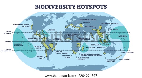 Biodiversity Hotspots Life Species Variety On Stock Vector (Royalty ...