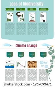 Biodiversity loss is an ecosystem problem. Wildlife extinction due to habitat loss, invasive species, overexploitation, climate change and pollution.Vector illustration