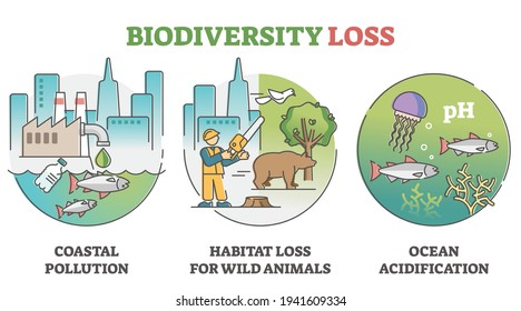 Biodiversity loss issues and causes as climate wildlife problem outline set. Coastal pollution, natural habitat extinction and ocean acidification as ecosystem environmental damage vector illustration