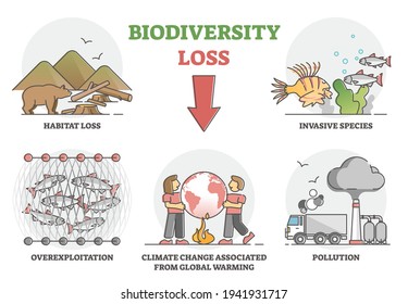 Biodiversity loss issues or causes as climate ecosystem problem outline set. Wildlife extinction from habitat loss, invasive species, overexploitation, global warming and pollution vector illustration