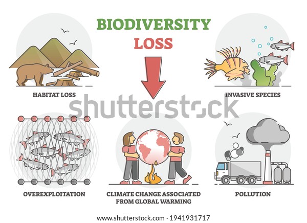 solutions-on-how-to-stop-biodiversity-loss-prepare-for-change