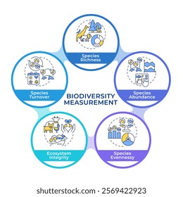 Biodiversity measurement infographic circles flowchart. Species richness, abundance, evenness. Data visualization with 5 steps. Circular info graphic editable