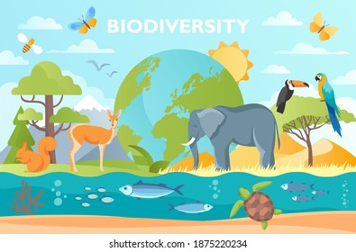 Biodiversity as natural wildlife species or fauna protection abstract concept. Ecosystem climate difference, vegetation and habitat saving vector illustration. Ecology and endangered bio life.