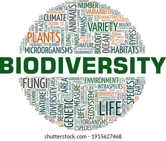 Biodiversity vector illustration word cloud isolated on a white background.