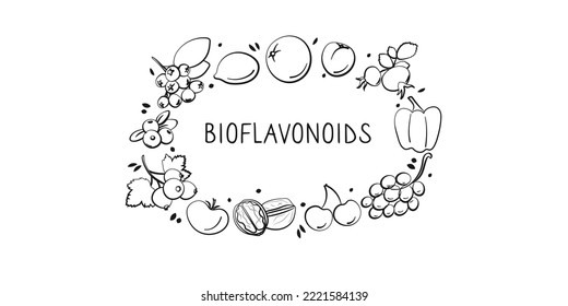 Bioflavonoid-containing food. Groups of healthy products containing vitamins and minerals. Set of fruits, vegetables, meats, fish and dairy