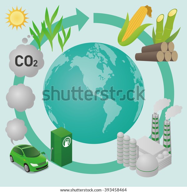 Biofuel Biomass Ethanol Life Cycle Earth Stock Vector (Royalty Free ...