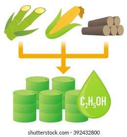 Biofuel: Biomass ethanol, made form Sugar, Starch, Cellulose,  diagram illustration