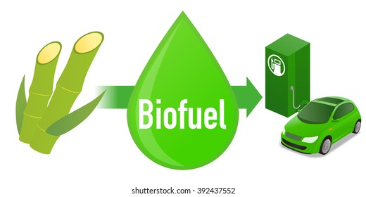 Biofuel: Biomass ethanol, made form Sugarcane, diagram illustration
