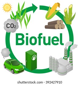  Ciclo de vida del biocombustible, etanol de biomasa procedente del maíz, caña de azúcar, madera, ilustración de diagrama