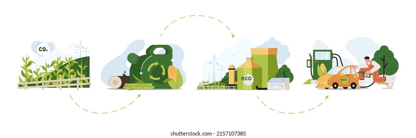 Biofuel life cycle flat vector illustration. Biodiesel or biogas production green energy from corn plant biomass, natural wood and sugarcane. Eco friendly fuel for petrol station. Alternative power. - Shutterstock ID 2157107385