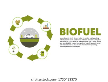 Biofuel Life Cycle Vector, Lignocellulosic Biomass Production, Ethanol From Corn, Plants, Wood, Flat Design Vector Illustration. Fabrication Of Biodiesel For Car.