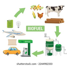 Biofuel production flat scheme depicting process from natural raw materials to gas stations vector illustration