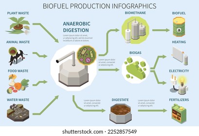 Biofuel production infographics poster with types of organic waste anaerobic digestion biogas usage 3d isometric vector illustration