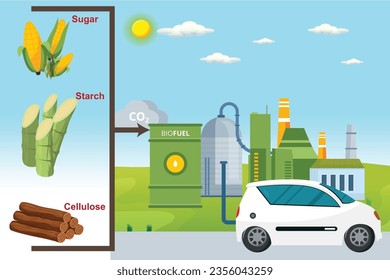 Biofuel.  Renewable energy source derived from organic materials, reducing greenhouse gas emissions and promoting sustainability.