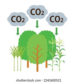 Biocombustible y árbol que absorbe CO2.
