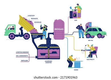 Biogas division diagram with digester generating gas fuel from waste and livestock. Natural renewable resources, flat vector illustration isolated on white background.