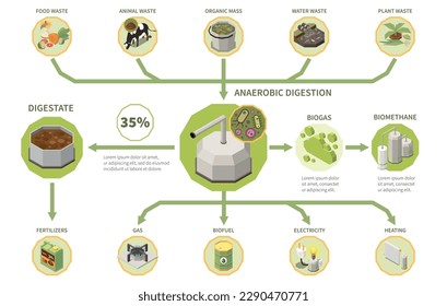 Biogas electricity production process isometric infographics with types of organic waste anaerobic digestion digestate 3d vector illustration
