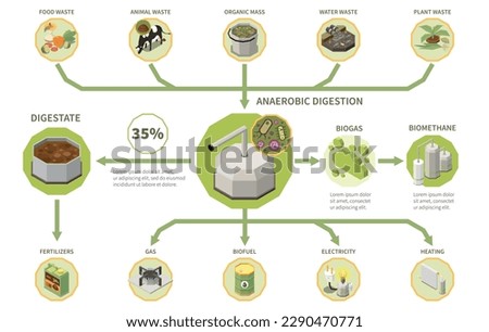 Biogas electricity production process isometric infographics with types of organic waste anaerobic digestion digestate 3d vector illustration