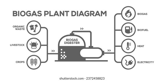 Biogas Plant Diagram. Biogas Production Phases: Illustrated Educational Plan from Farming to Energy