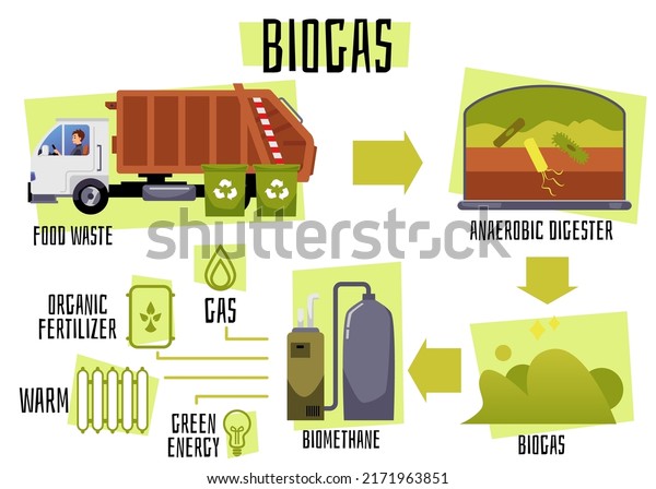 Biogas production process from food waste\
collection to anaerobic digestion and biomethane production. Flat\
vector illustration on white background. Renewable energy and green\
environment.