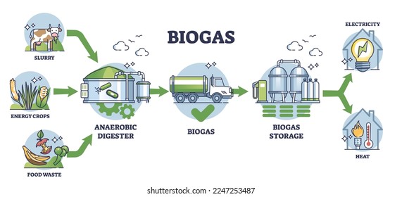 Biogas production stages with bio gas generation explanation outline diagram. Labeled educational scheme with process from slurry and crops to storage and heating or electricity vector illustration.