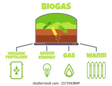 Biogas usage in energy consumption, cartoon infographic, flat vector illustration on white background. Anaerobic digestion product division for organic fertilizer, green energy, gas and warmth.