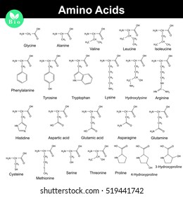 Biogenic Amino Acids, Molecular Structures, 2d Chemical Vector Illustration Isolated On White Background, Eps 8