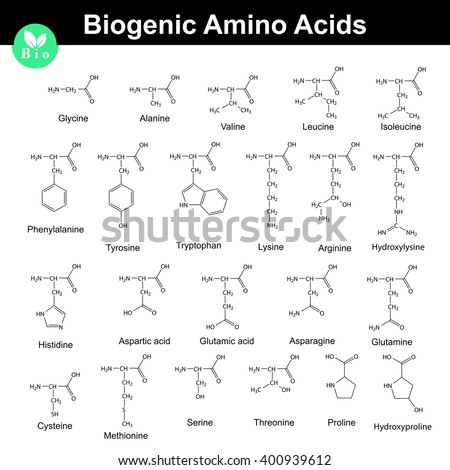 Biogenic amino acids, structural molecular formulas, 2d chemical vector on white background, eps 8