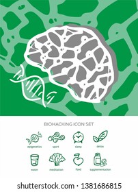 Biohacking, icon set,brain on a green background drawn by hand, healthy detox, meditation,sport, sleep. For poster and websites. Vector stock illustration - Векторная графика