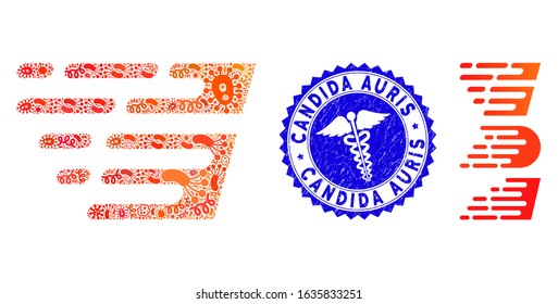 Biohazard mosaic rush effect icon and rounded rubber stamp seal with Candida Auris caption and healthcare icon.
