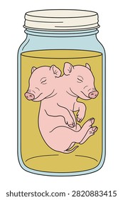 Biological anomaly of conjoined twin piglets in yellow liquid. Medical curiosity and taxidermy jar illustration.