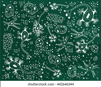 Biological background vector illustration. Micro world editable concept. Hand drawn outlined doodles on a green textured chalkboard. Scentific bio pattern.