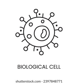 Biological cell line icon vector for educational materials about diabetes.