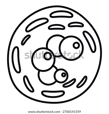 Biological cell showing cellular division process with multiple nuclei
