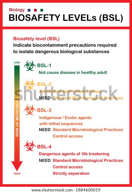 Biological Chart Describe Biosafety Level Which Stock Vector (Royalty ...