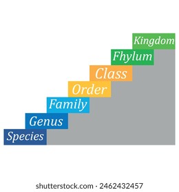 biological classification diagram. biology content. Vector Illustration.