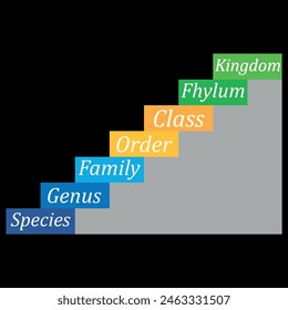 biological classification diagram. biology content. Vector Illustration.