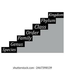 biological classification diagram. biology content. Vector Illustration.