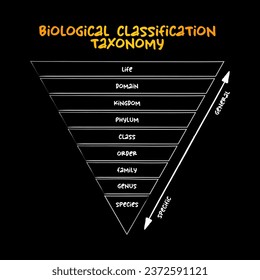 Biological classification taxonomy rank - relative level of a group of organisms (a taxon) in a taxonomic hierarchy, education concept for presentations and reports