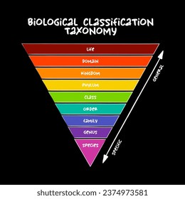 Biological classification taxonomy rank - relative level of a group of organisms (a taxon) in a taxonomic hierarchy, education concept for presentations and reports