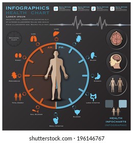Biological Clock Health And Medical Infographic Infocharts Science Background Design Template