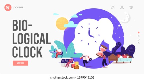 Biological Clock, Jet Lag Landing Page Template. Characters Follow their Body Rhythm, Insomnia, Traveler in Airport, Man Late at Work. Healthy Sleeping, Night Dream. Cartoon People Vector Illustration