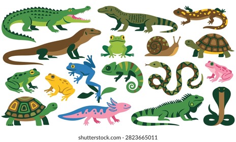 Biological collection featuring various cold blooded animals, reptiles and amphibians in flat style, zoo and nature education fauna illustration icons.