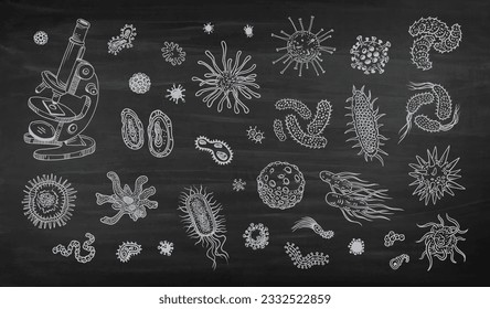 Biological drawings of viruses and bacteria with a microscope 
Contour graphics pen doodle