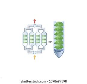 biological filter barrier