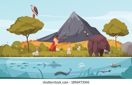 Biologische hiërarchie cartoon kleurrijke achtergrond gedemonstreerd ecosysteem met planten, dieren en vissen vectorillustratie