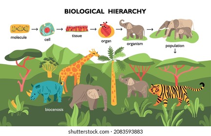 Biological hierarchy composition with wild landscape background and icons of animal organs tissue cell and molecule vector illustration